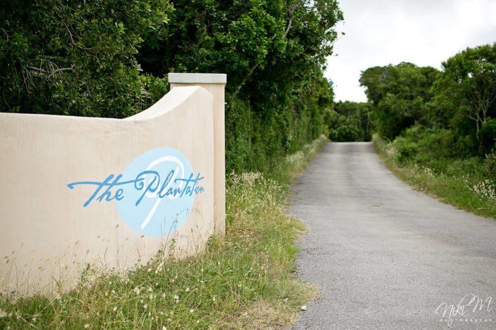 Bed and Breakfast The Plantation Port Elizabeth Esterno foto