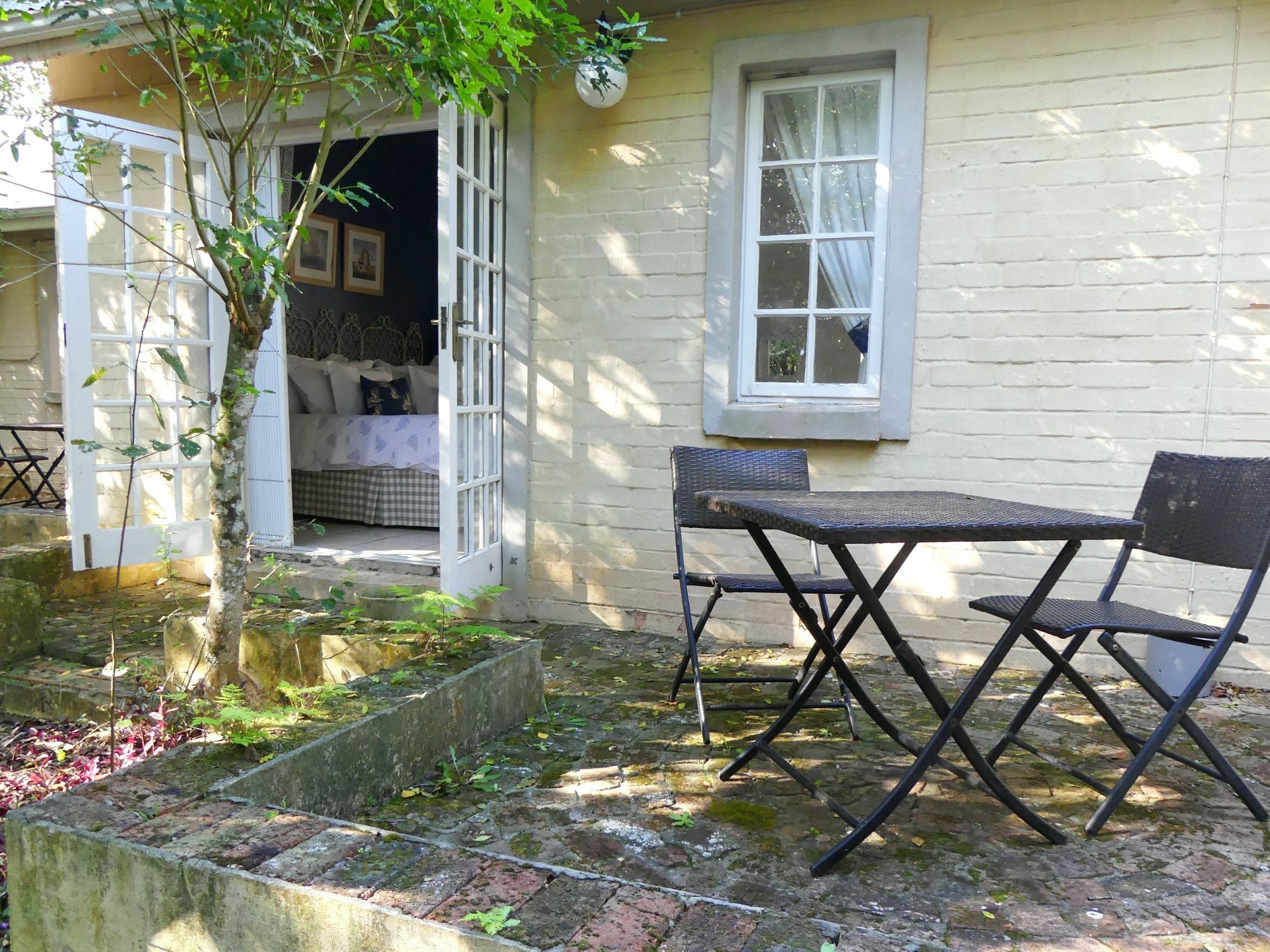 Bed and Breakfast The Plantation Port Elizabeth Esterno foto