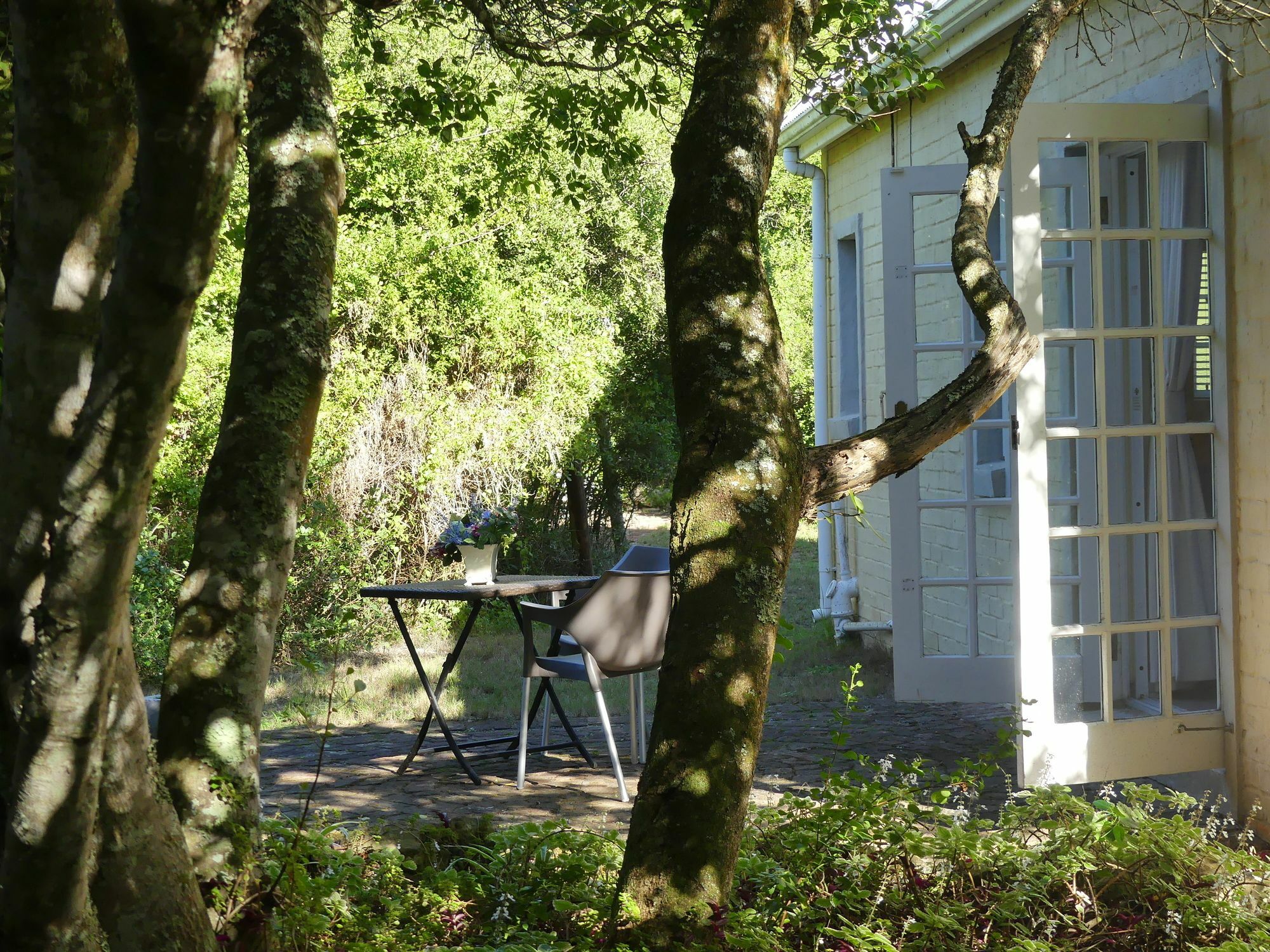 Bed and Breakfast The Plantation Port Elizabeth Esterno foto